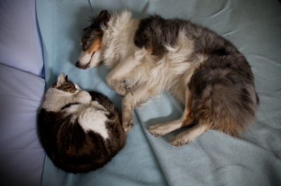 sleep