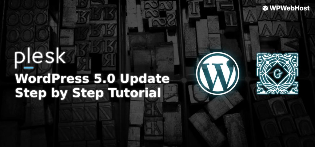 WordPress 5.0 Update tutorial