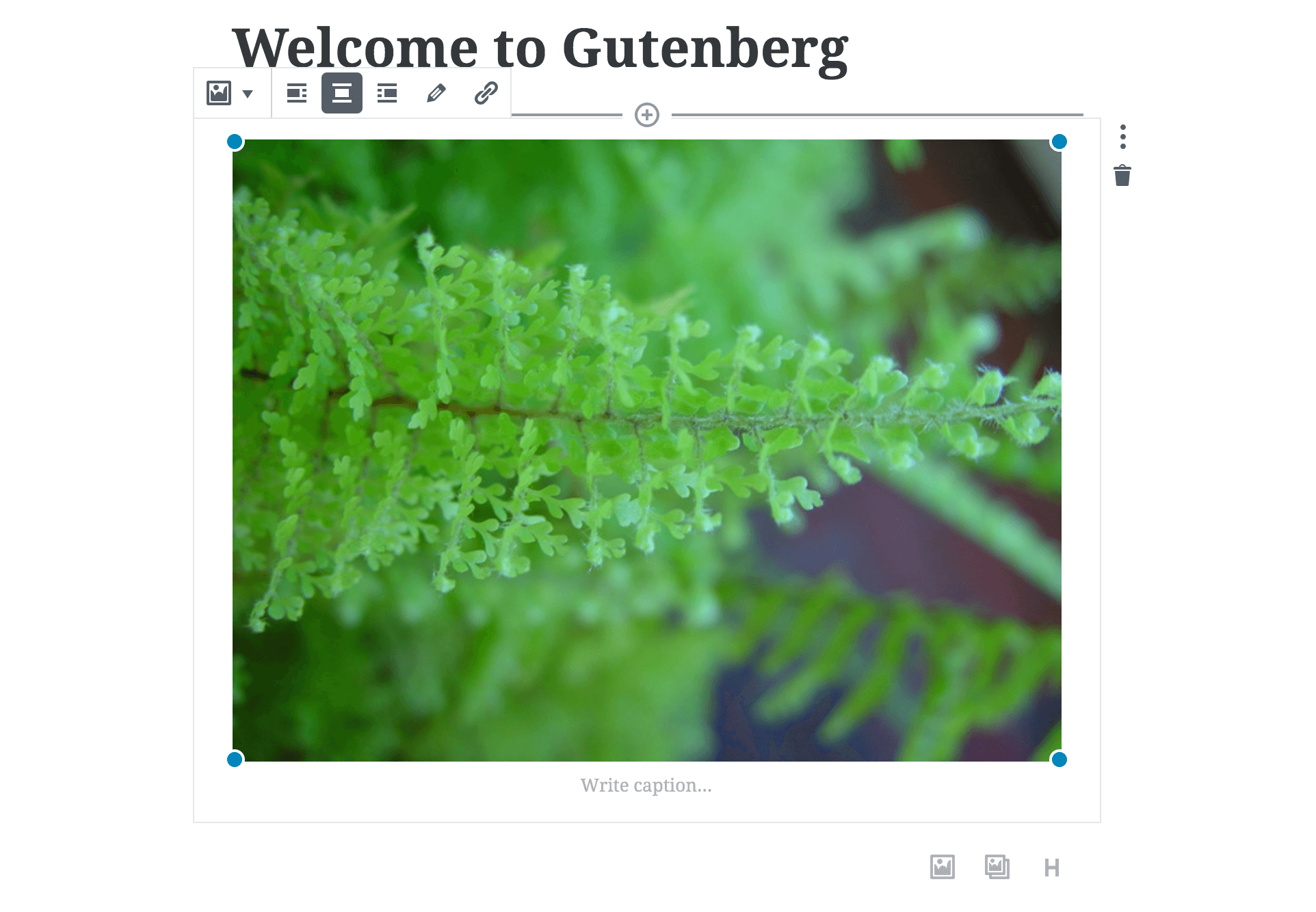 An image block in Gutenberg.